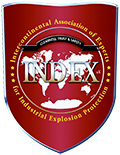 INDEX Logo